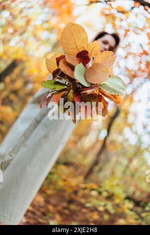 Autumn. Multicolored maple leaves lie on the grass. High quality photo Stock Photo