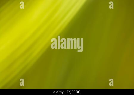 abstract background with green bokeh defocused lights and shadow Stock Photo