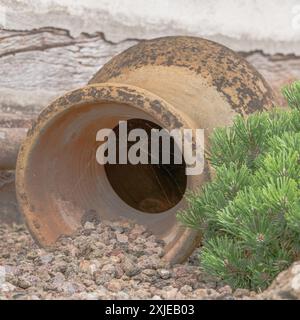 A Weathered Vase Embraces the Elements An Antique Vase Stands Guard in Nature's Embrace Earthen Elegance: A Rustic Vase Blends Harmoniously Stock Photo