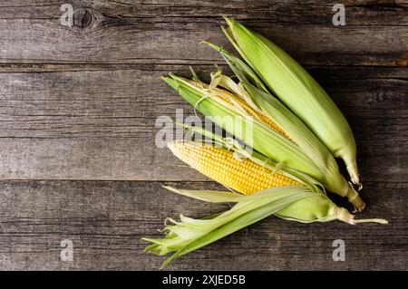 Fresh ripe three half peeled corn cobs on dark rustic table, grain concept Stock Photo
