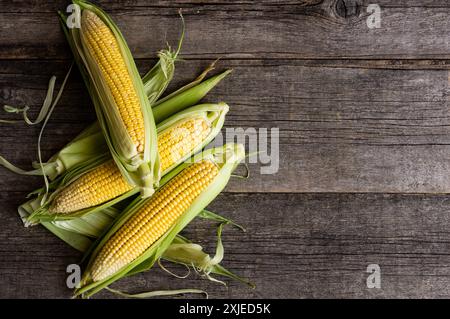 Fresh ripe three half peeled corn cobs on dark rustic table, grain concept Stock Photo