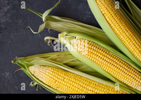 Fresh ripe three half peeled corn cobs on dark rustic table, grain concept Stock Photo