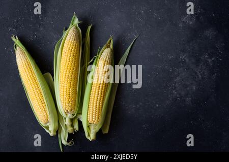 Fresh ripe three half peeled corn cobs on dark rustic table, grain concept Stock Photo