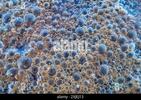 Foam that forms on water after ice melts. Natural foam is associated with a high concentration of brought organic matter (plant residues). Ultra macro Stock Photo