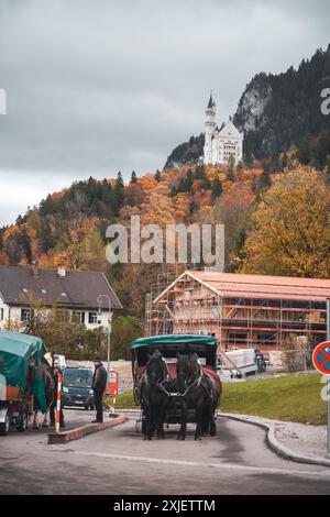 Germany - Unknown Date : A horse-drawn carriage waits on a paved road while a man looks on. Neuschwanstein Castle sits atop a hillside in the backgrou Stock Photo