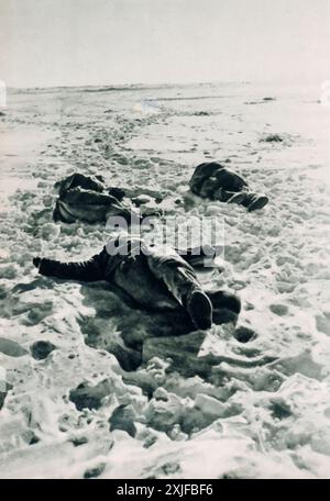 A photograph shows the bodies of Soviet soldiers lying in the snow after a fierce firefight. Taken during Operation Barbarossa in 1941, this image underscores the brutal and deadly combat faced by both sides as German forces advanced against Soviet troops on the Eastern Front during the Second World War. Stock Photo