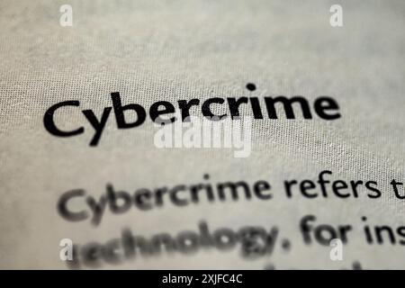Cybercrime in Business Law Stock Photo