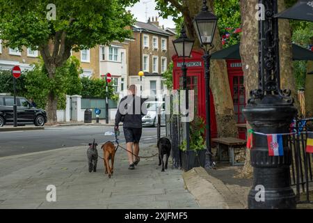 LONDON- JULY 3, 2024: Man walking 3 dogs on Maida Vale area of central West London Stock Photo