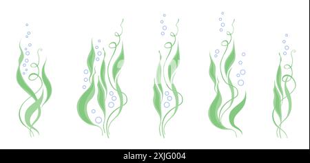 Water plants. Bubbles in water. Vector design elements. Stock Vector