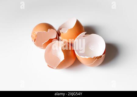 Eggshells on white background Stock Photo