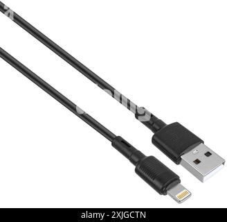 cable with Lightning and USB connector on white background in insulation Stock Photo