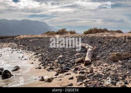 Cliffs on the north of Lanzarote. Beach with pebbles and an old branch . Blue sky with white clouds. Caleta del Sebo, La Graciosa, Canary Islands, Spa Stock Photo
