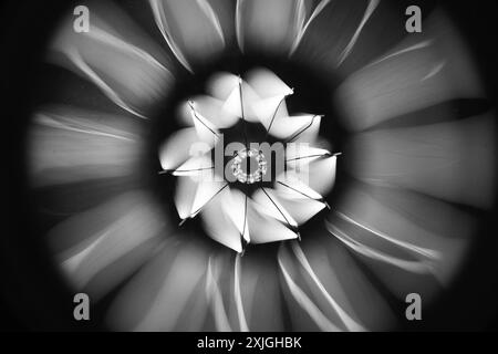 Abstract background with a tungsten lamp spiral glowing in the dark, black and white macro photo with selective soft focus Stock Photo