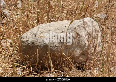 Big rock in the field Stock Photo