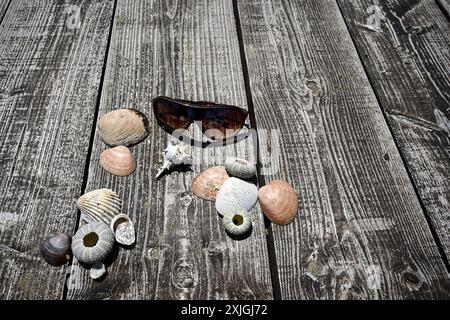 Sunglasses and seashells lying on a rustic wooden surface, evoking summer holiday memories. Stock Photo