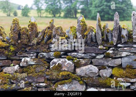 A traditional dray stone wall in a Scottish Landscape Stock Photo