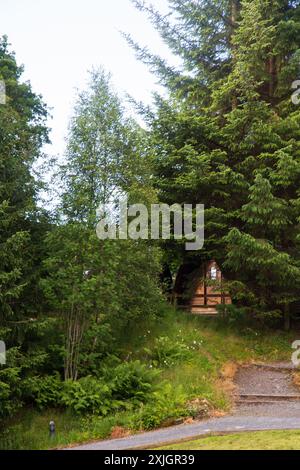 A small glamping hut in the forest in the Scottish Highlands on a sunny summers morning Stock Photo