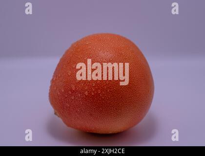 Grapefruit on a white background Stock Photo
