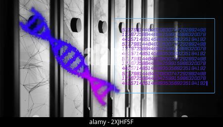 Image of dna strands with data processing and network of connections over server room Stock Photo