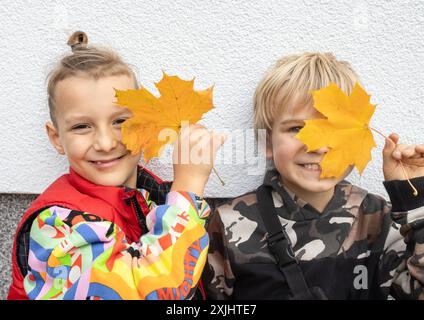Two brothers or friends, 7 years old, hold yellow leaves in front of faces. joy of communication, pampering boys, happy childhood. positive atmosphere Stock Photo