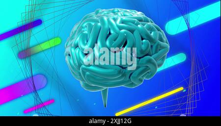 Image of rotating blue brain over colourful shapes and 3d network structure on blue. Abstract, data, network, ai, processing, intelligence, connection Stock Photo