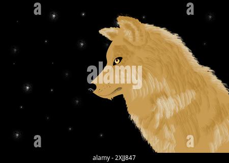 An illustration of a wolf staring intently in front of him. Stock Vector
