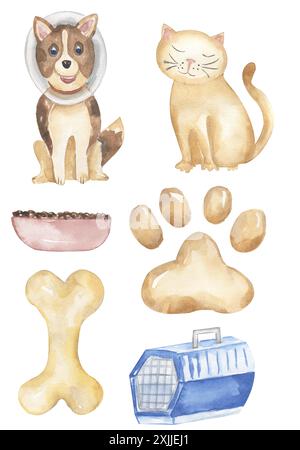 Watercolor vet elements and dog and cat illustration, paw, dog food, animal carrier, bone clipart set Stock Photo