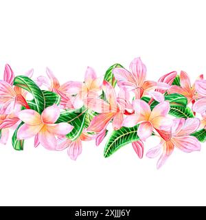 Tropical pink plumeria flowers with leaves.Seamless border pattern isolated on white background. Hand drawn watercolor illustration. For design, invit Stock Photo