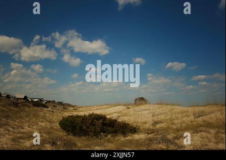 Sand dunes under bright blue sky Cape Hatteras National Seashore Stock Photo