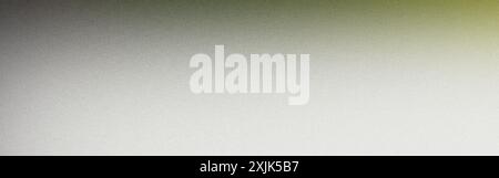 Gradient background in shades of green, gray, and white with a subtle grainy texture fading to white Stock Photo
