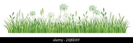 Grass border, meadow flowers and green grass, vector illustration, card decoration element Stock Vector