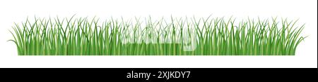 Grass border, meadow green grass, vector illustration, card decoration element Stock Vector