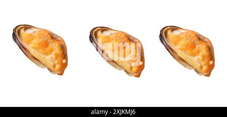 Top view set of steamed or cooked delicious green mussel meat is isolated on white background with clipping path. Stock Photo