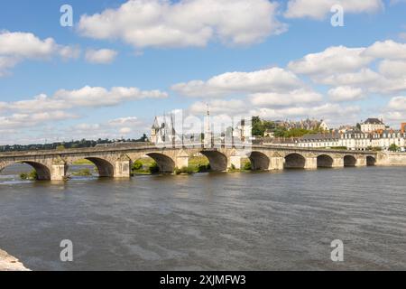 Panoramic view of old town of  Blois and Jacques-Gabriel Bridge seen from Vienne across the river bank of the Loire, Loir-et-Cher, France Stock Photo