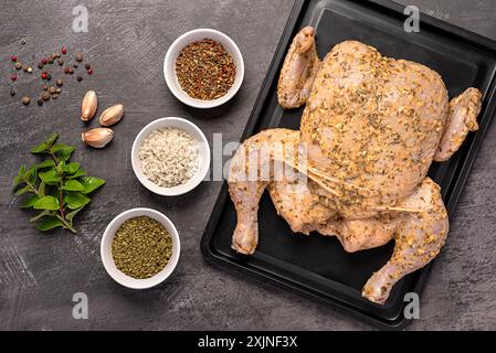 Food photography of raw marinated chicken, salt, spices, herb, oregano, paprika, pepper, garlic, poultry, cooking, kitchen, ingredient, uncooked, meat Stock Photo