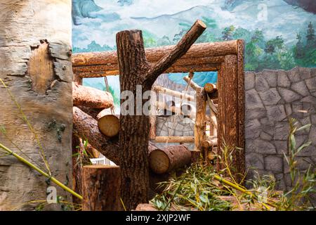 Panda sleep On Rock In Zoo Stock Photo