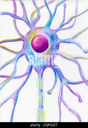 Illustration of a motor neuron brain cell, showing a neuron body with ...