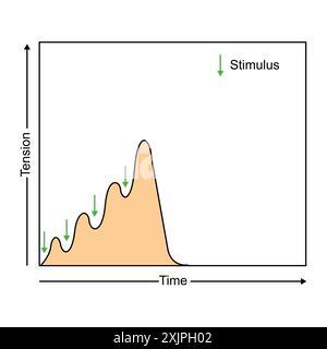 Wave summation, illustration. Stock Photo