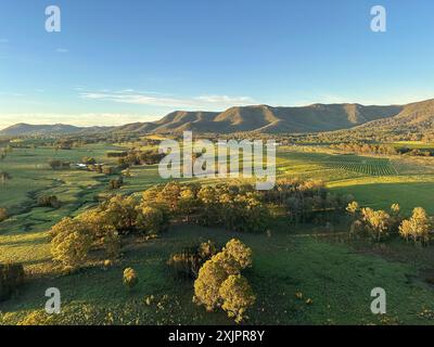 Hot Air Ballooning at dawn, over vineyards, Hunter Valley Australia Stock Photo