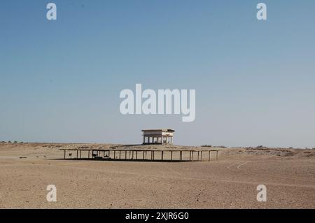 Water, shade & sand. Ostriches take cover in a desert wildlife sanctuary on Sir Bani Yas island, Abu Dhabi, United Arab Emirates (March 2010). Stock Photo