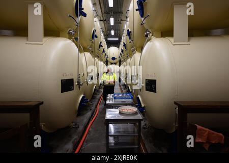 Ceske Budejovice - July 13 2024: Budweiser Budvar Beer Storage Cellar with Steel Tanks and Worker Serving Beer. Stock Photo