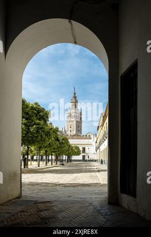 View of the historic center of Seville from the Patio de Banderas, located within the walls of the Alcázar of Seville. In the background, the Giralda. Stock Photo