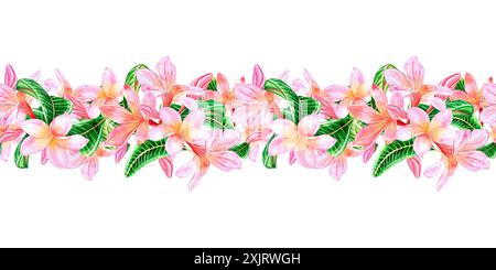 Tropical pink plumeria flowers with leaves.Seamless border pattern isolated on white background. Hand drawn watercolor illustration. For design, invit Stock Photo