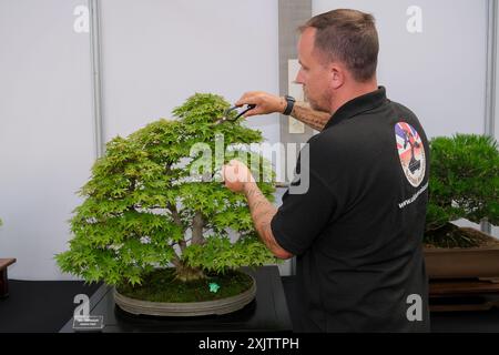 London, UK, 19th July, 2024. A volunteer from the UK Bonsai Association inspects a specimen on display - some of the trees are decades-old and require daily maintenance to keep them at their best. Hyper Japan held at the Olympia Exhibition Centre saw crowds coming to enjoy anime, cosplay, food, music, shopping and plenty of photo-taking during the first day of the event, which runs from the 19th-21st July. Credit: Eleventh Hour Photography/Alamy Live News Stock Photo