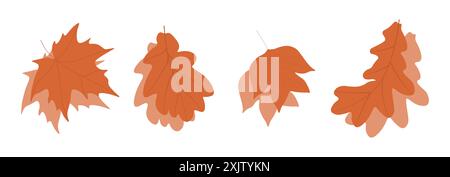 Set of fallen autumn leaves of oak, maple and tulip tree with partial shade on a white isolated background Stock Photo