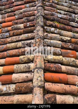 Rows of weathered, terra cotta roof tiles on an external roof Stock Photo