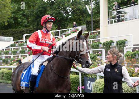 Ascot, Berkshire, UK. 12th July. 2024. Horse Berkshire Cameo ridden by jockey  David Probert heads out onto the racetrack for the Close Brothers Nursery Handicap Stakes at Ascot Racecourse in Berkshire at the Ascot Summer Mile Property Raceday. Owner Berkshire Parts & Panels Ltd No1 Fanclub. Trainer Andrew Balding, Kingsclere, Breeder The Terrify Partnership, Sponsor Berkshire Parts & Panels Ltd, Solo Refinish Solutions Ltd. Credit: Maureen McLean/Alamy Stock Photo