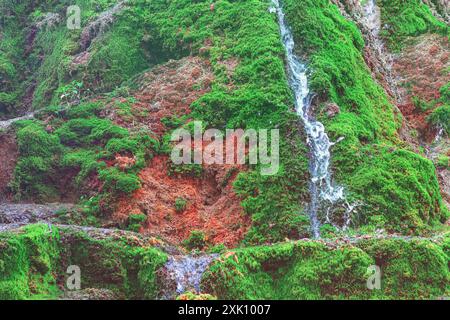 Rocky hillside with a stream of water running down. The water is clear and the rocks are brown. Scenic waterfall flowing in lush green cliff Stock Photo