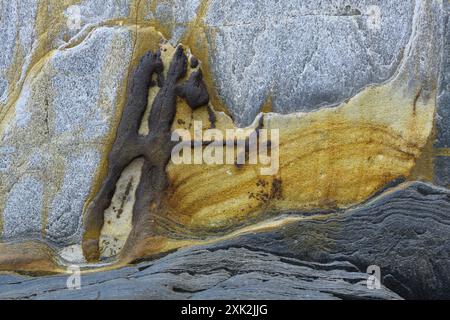 Close-up image highlighting the dramatic textural and color contrasts in a coastal rock, featuring vivid yellow erosion patterns against a stark gray Stock Photo