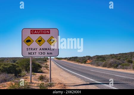 Traffic warning sign: caution, stray animals. With an image of an echidna, an emu and a kangaroo, along a highway in the outback of Western Australia Stock Photo